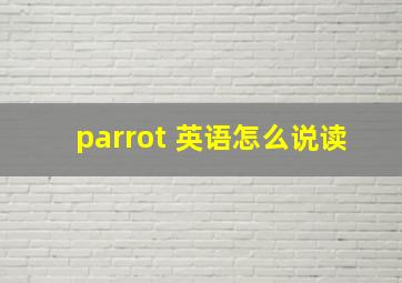 parrot 英语怎么说读